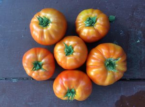 19-06 tomates6