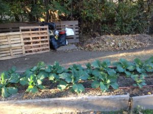 IMG_0905 IMG_0905