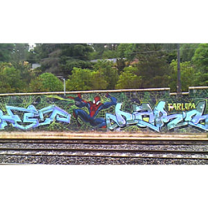 ¡Spiderman en el barrio!